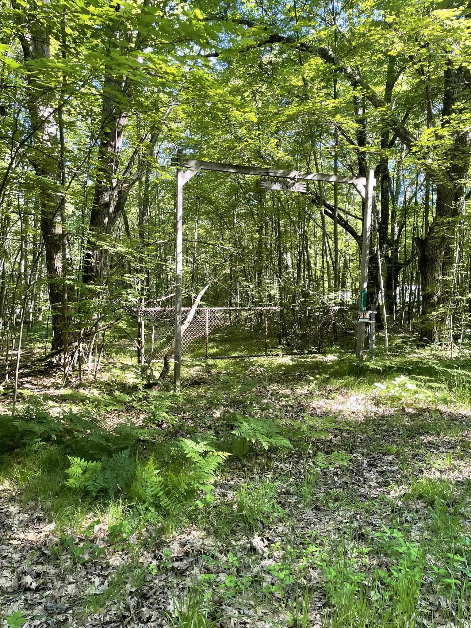8895 East Grandview Trail Reed City, MI 49677 - Photo 2 of 18