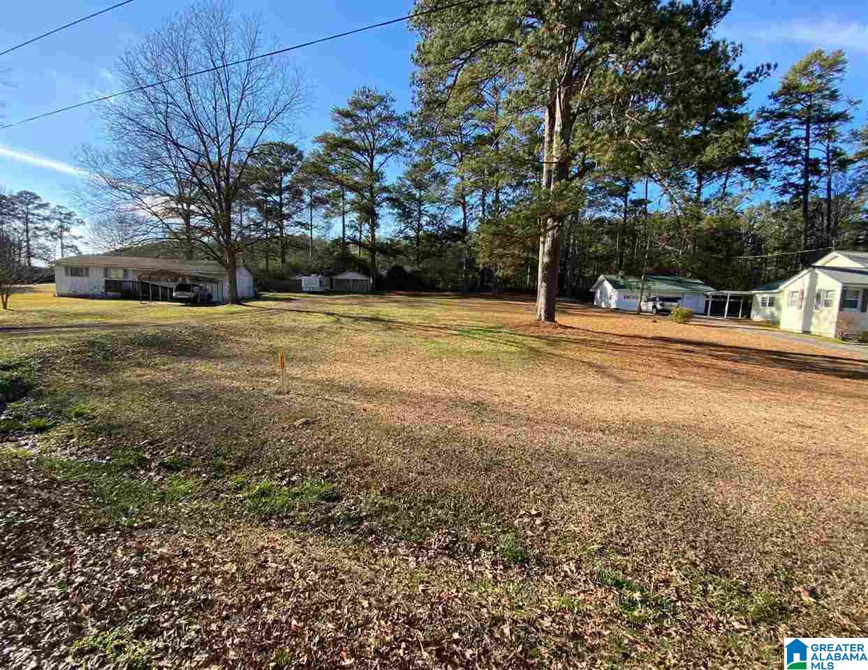 440 Del Rio Drive Birmingham, AL 35235 - Photo 1 of 3