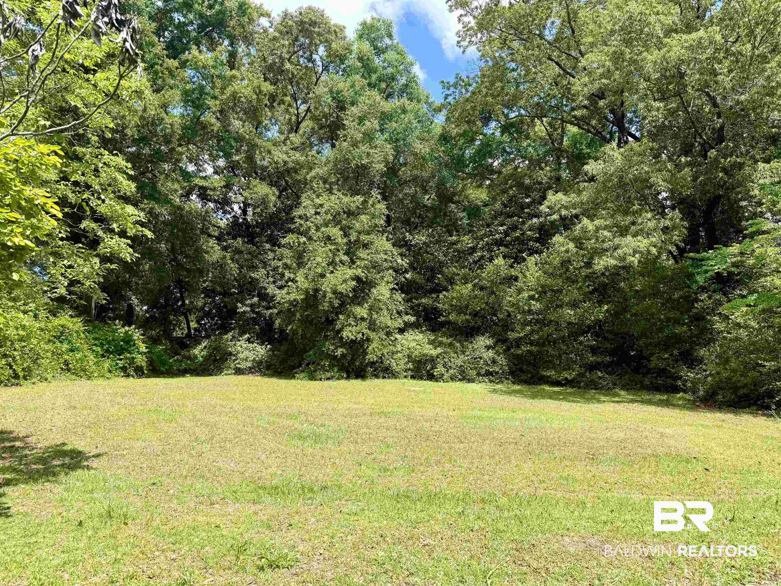 610 Alco Drive Brewton, AL 36426 - Photo 9 of 18 View of grassy yard with a view of trees