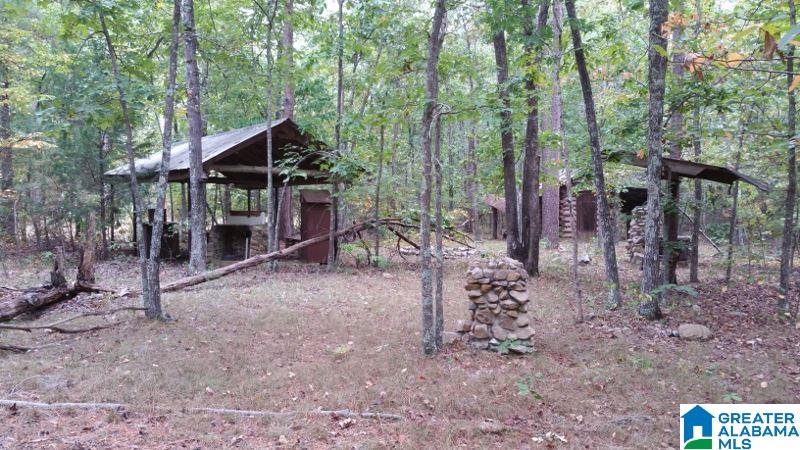 793 County Road Centre, AL 35960 - Photo 8 of 32