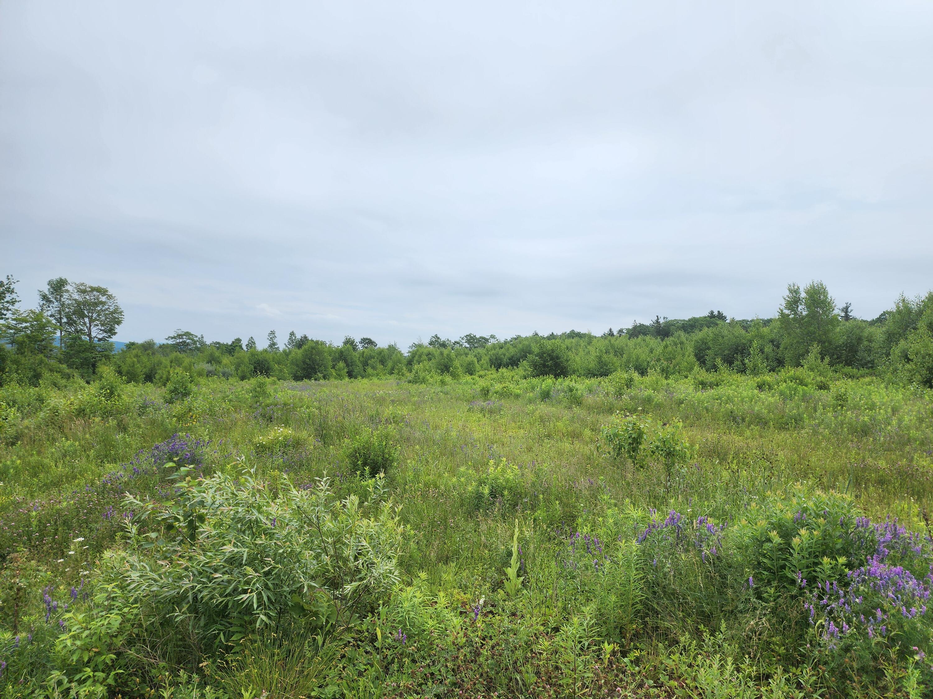 213 Moose Hl Road Ellsworth, ME 04605 - Photo 6 of 34 20250701_112818