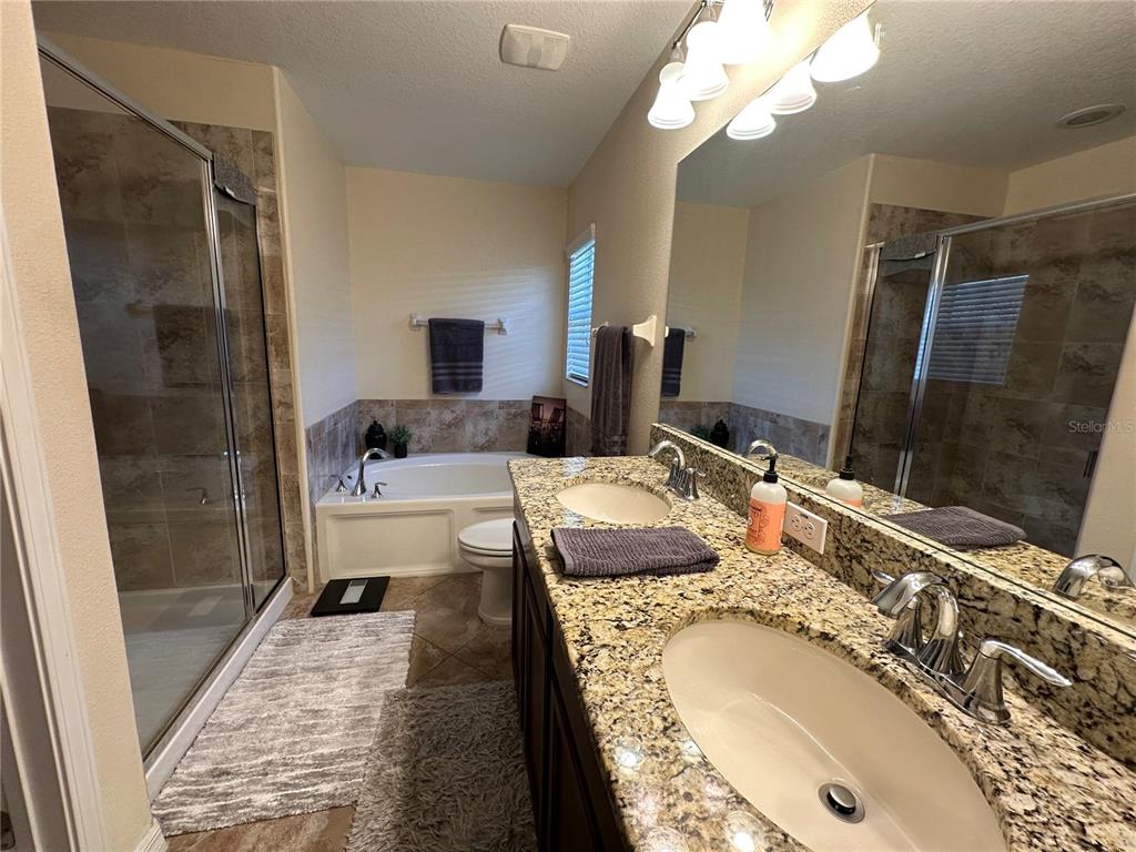 9476 Trumpet Vine Loop Trinity, FL 34655 - Photo 16 of 19 a en suite bathroom with a granite countertop sink a mirror and shower
