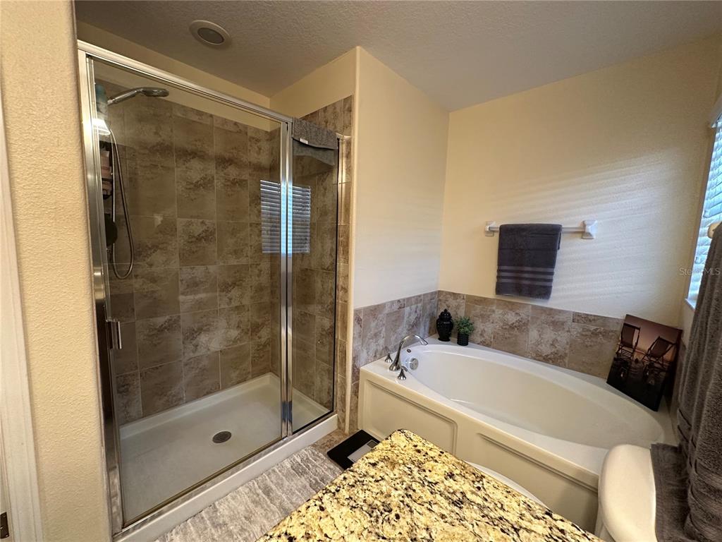 9476 Trumpet Vine Loop Trinity, FL 34655 - Photo 17 of 19 a bathroom with a bathtub and a shower