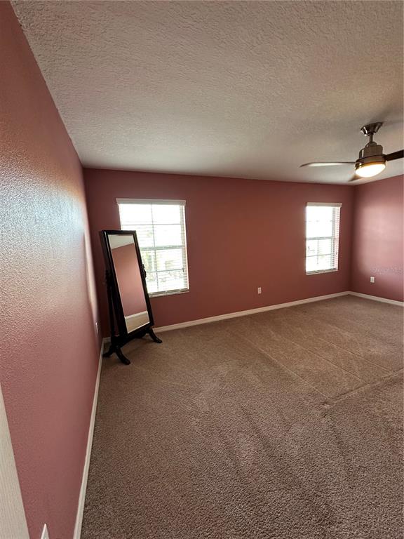 9476 Trumpet Vine Loop Trinity, FL 34655 - Photo 10 of 19 an empty room with windows and fireplace