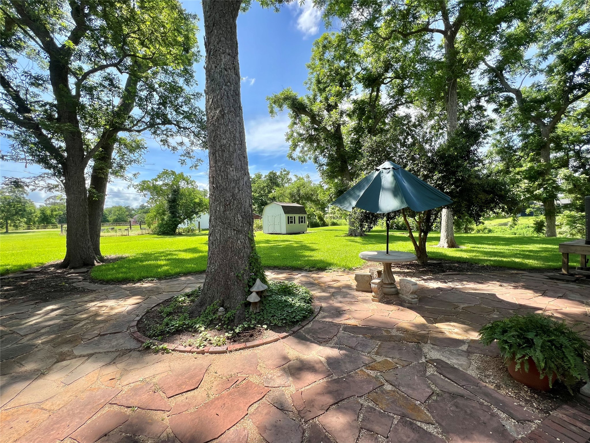 560 Jimmy Phillips Boulevard Angleton, TX 77515 - Photo 36 of 38 a view of a park with tree s