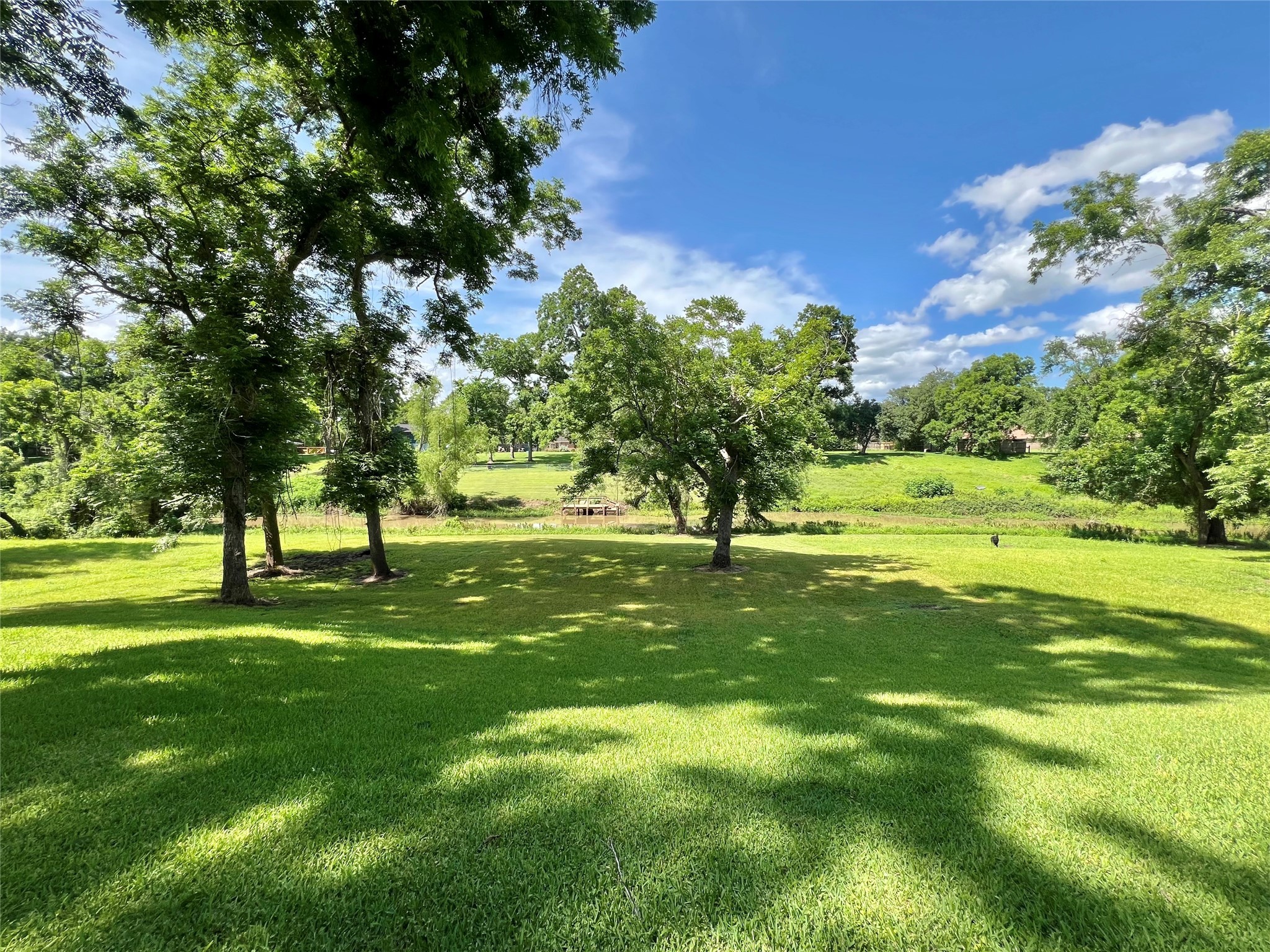 560 Jimmy Phillips Boulevard Angleton, TX 77515 - Photo 37 of 38 a view of field with trees