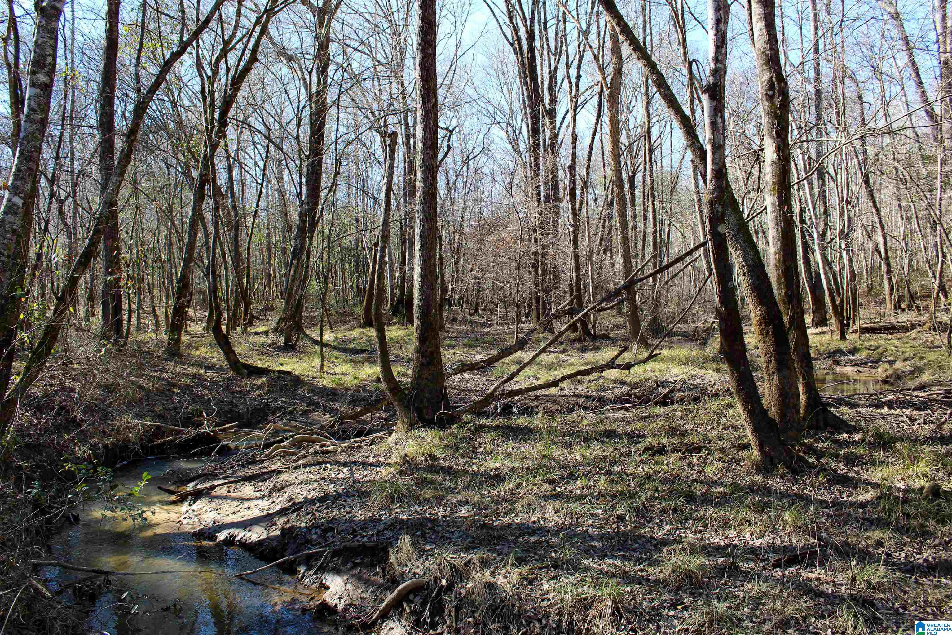 339 County Road Nauvoo, AL 35578 - Photo 34 of 57