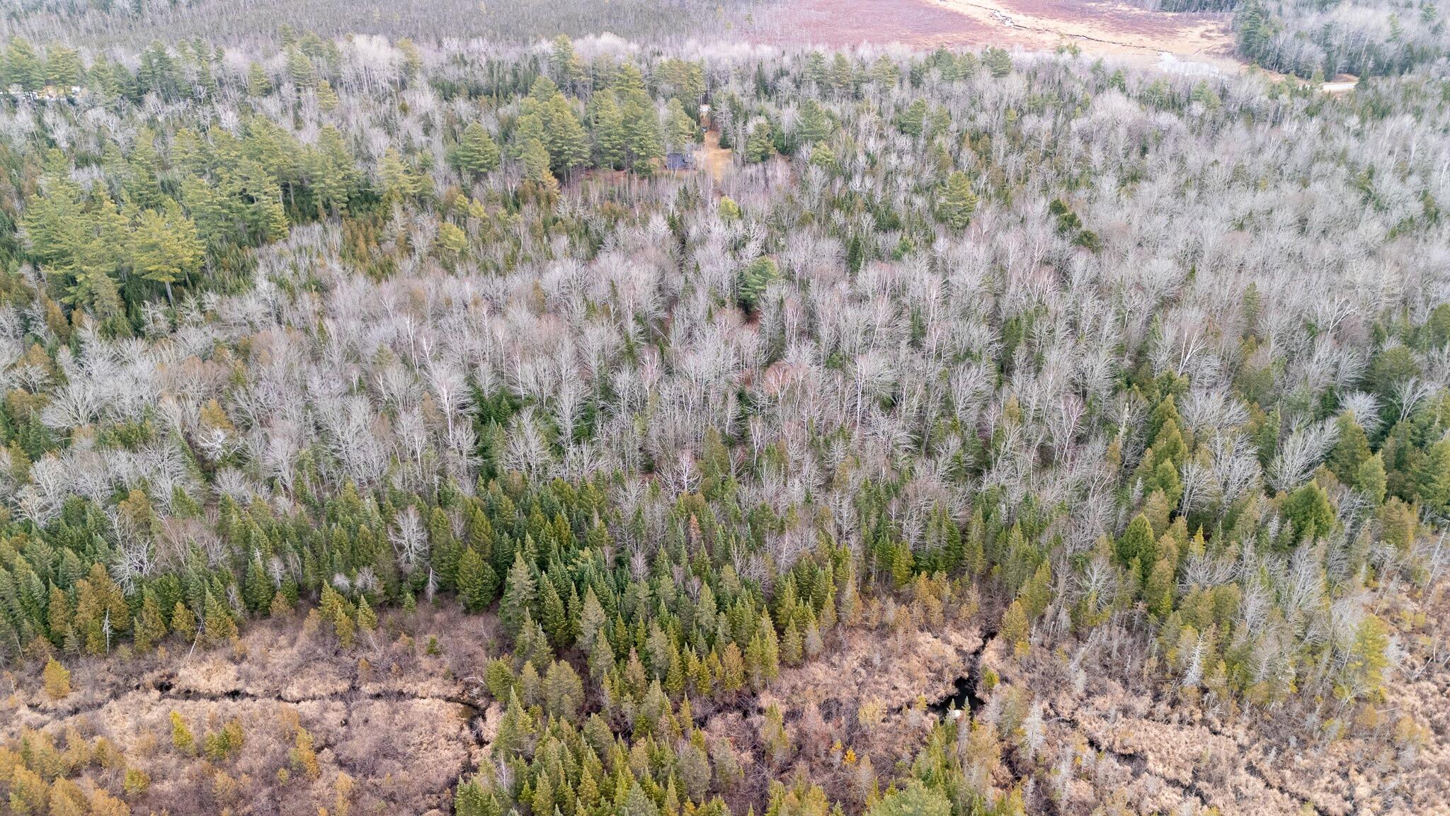 1735 Bangor Road Dover-Foxcroft, ME 04426 - Photo 51 of 69 DJI_20241126100032_0581_D