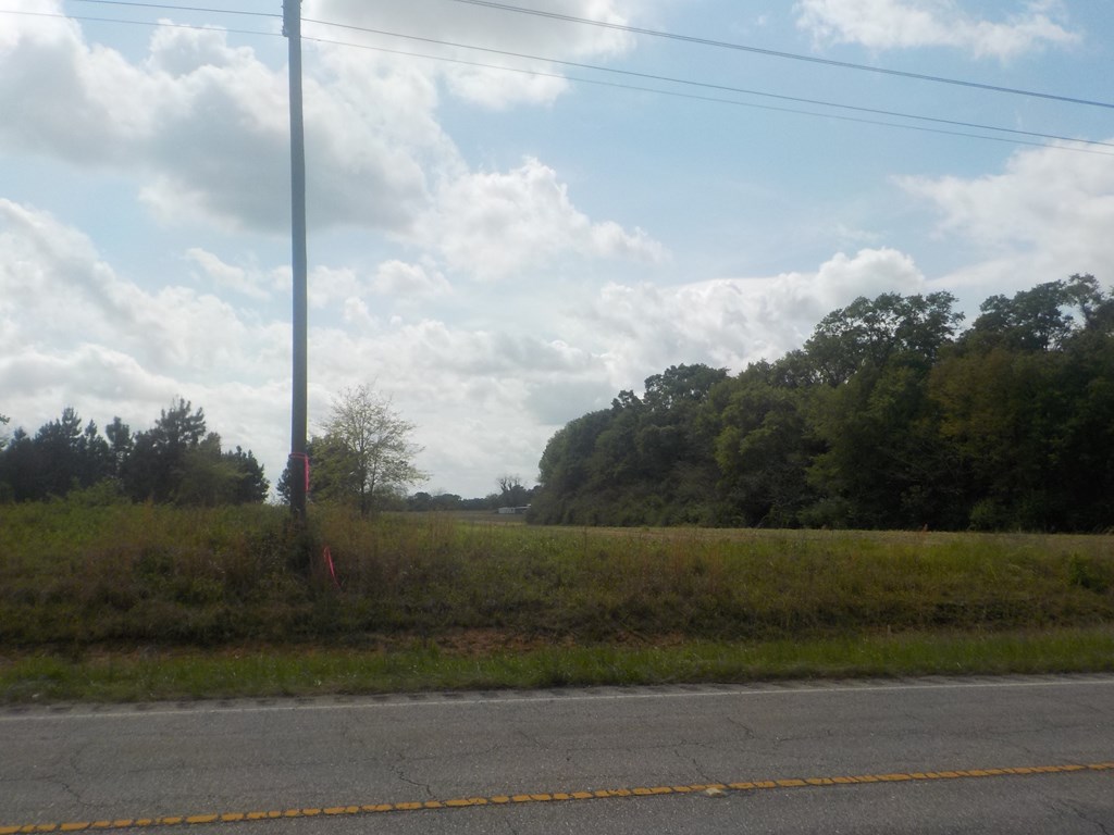 5.3-ac Memphis Church Road Dothan, AL 36301 - Photo 2 of 29