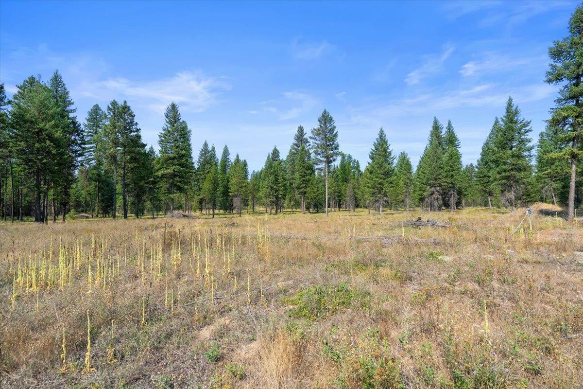 311 Bigfoot Road Newport, WA 99156 - Photo 17 of 22