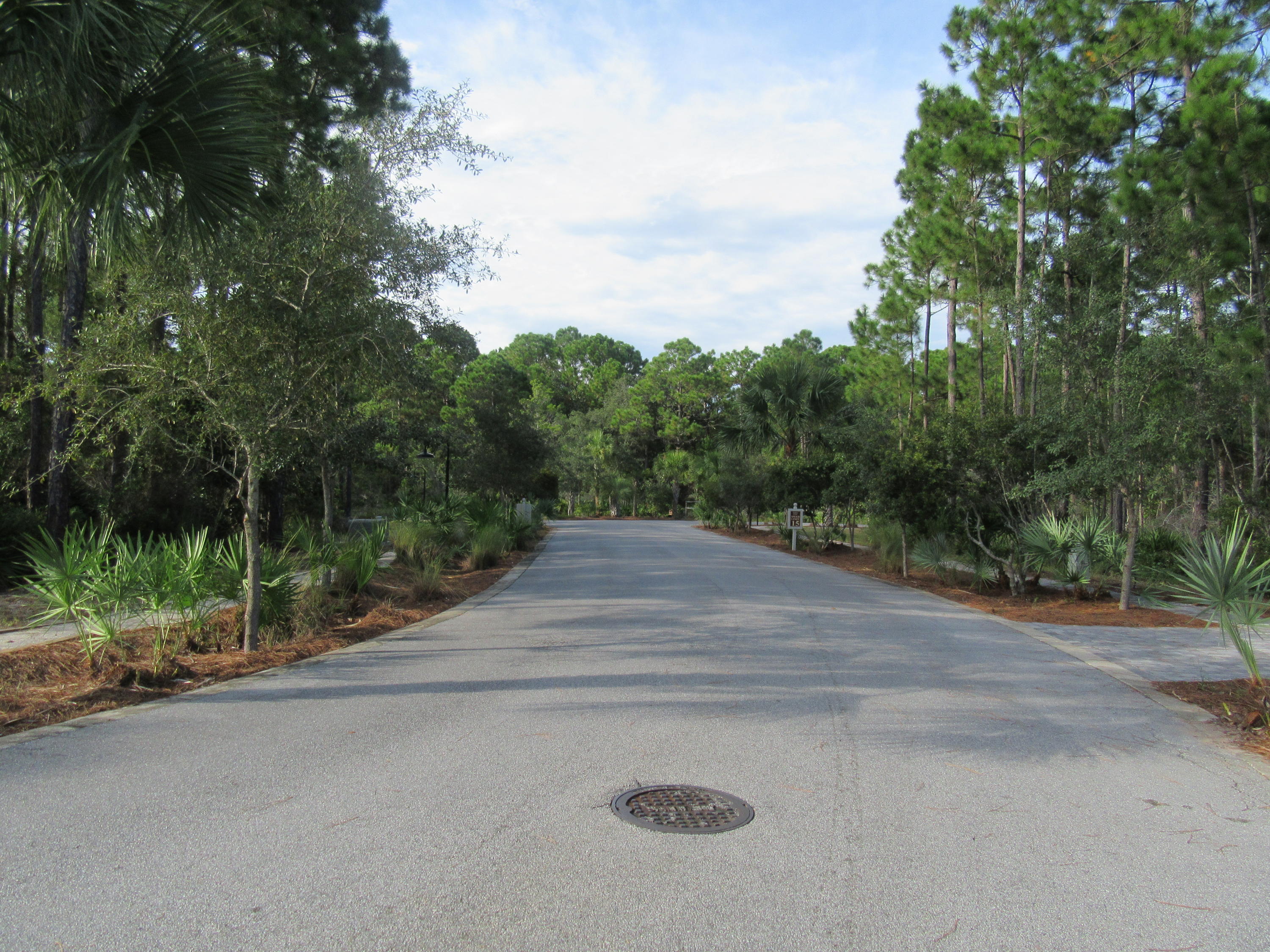 Lot 10 Marlberry Santa Rosa Beach Santa Rosa Beach, FL 32459 - Photo 14 of 16 Gallery Image 14