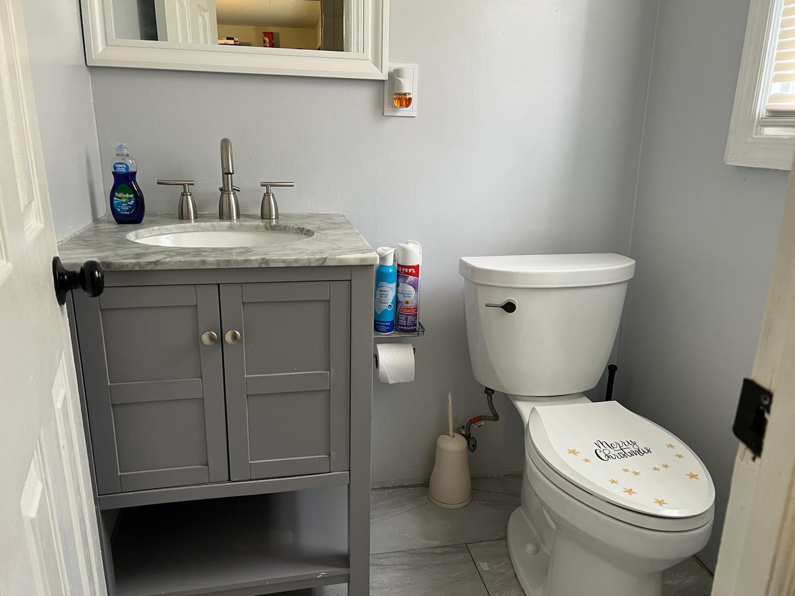 182 Long Beach Road Hempstead, NY 11550 - Photo 16 of 24 a bathroom with a granite countertop toilet and a sink