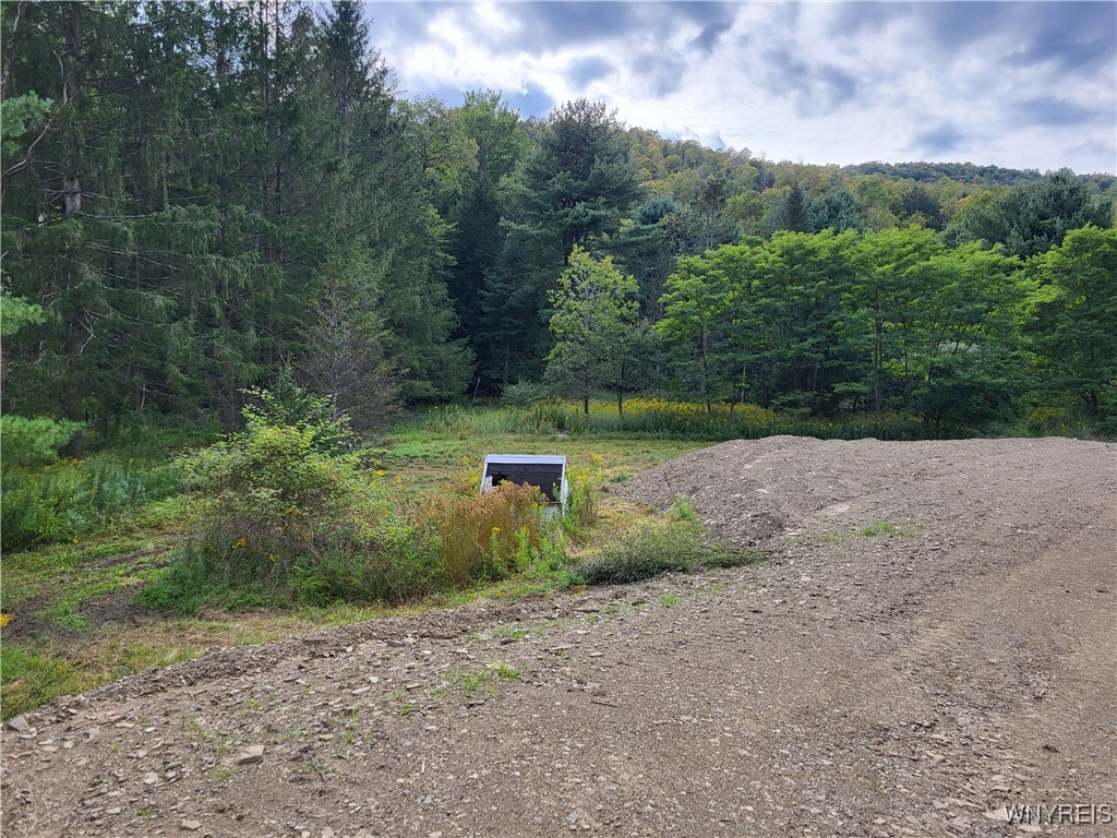 Lot A Porter Hollow Road Great Valley, NY 14741 - Photo 6 of 13