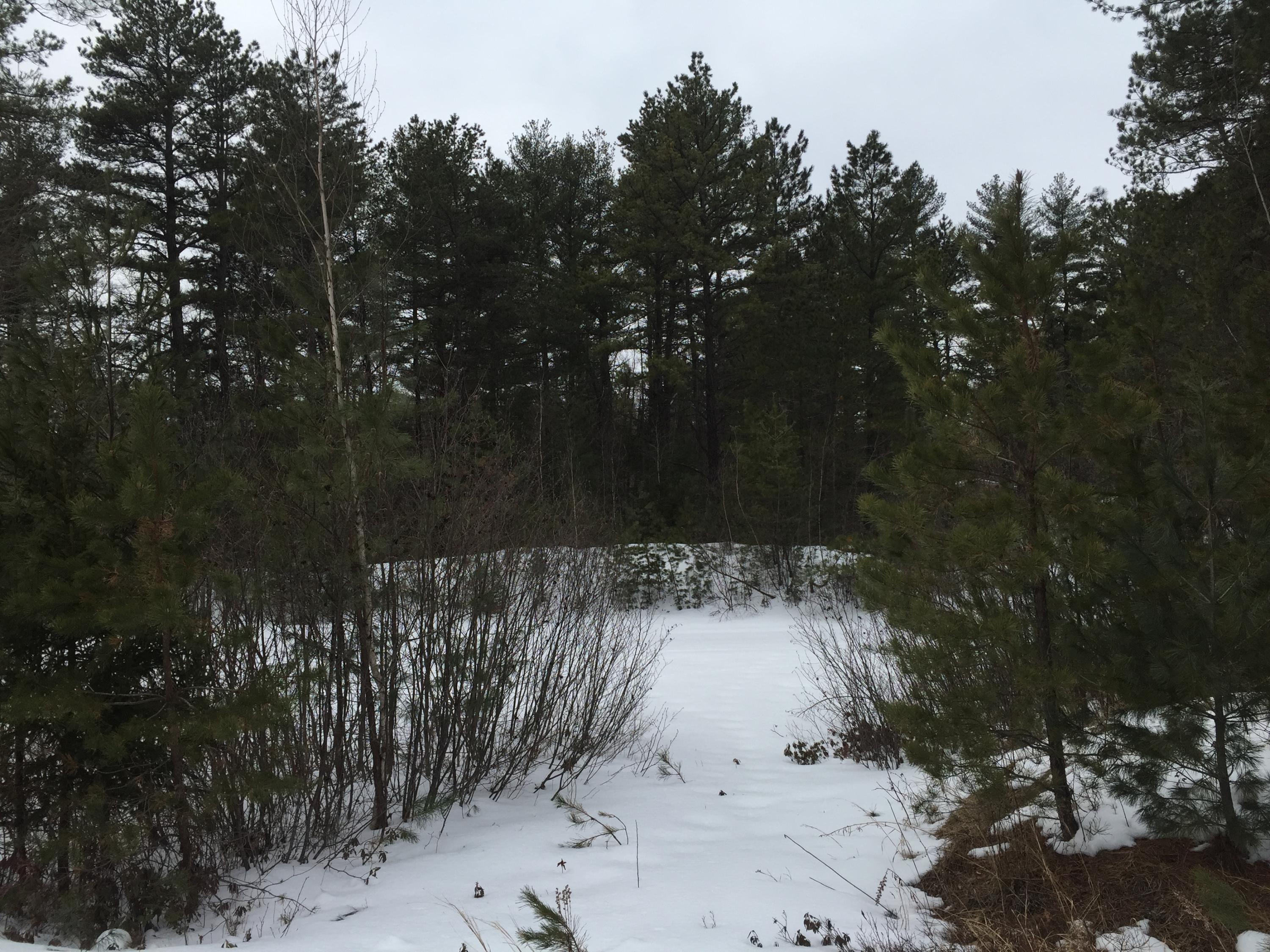 186 Lower Guinea Road Lebanon, ME 04027 - Photo 30 of 30 IMG_7156