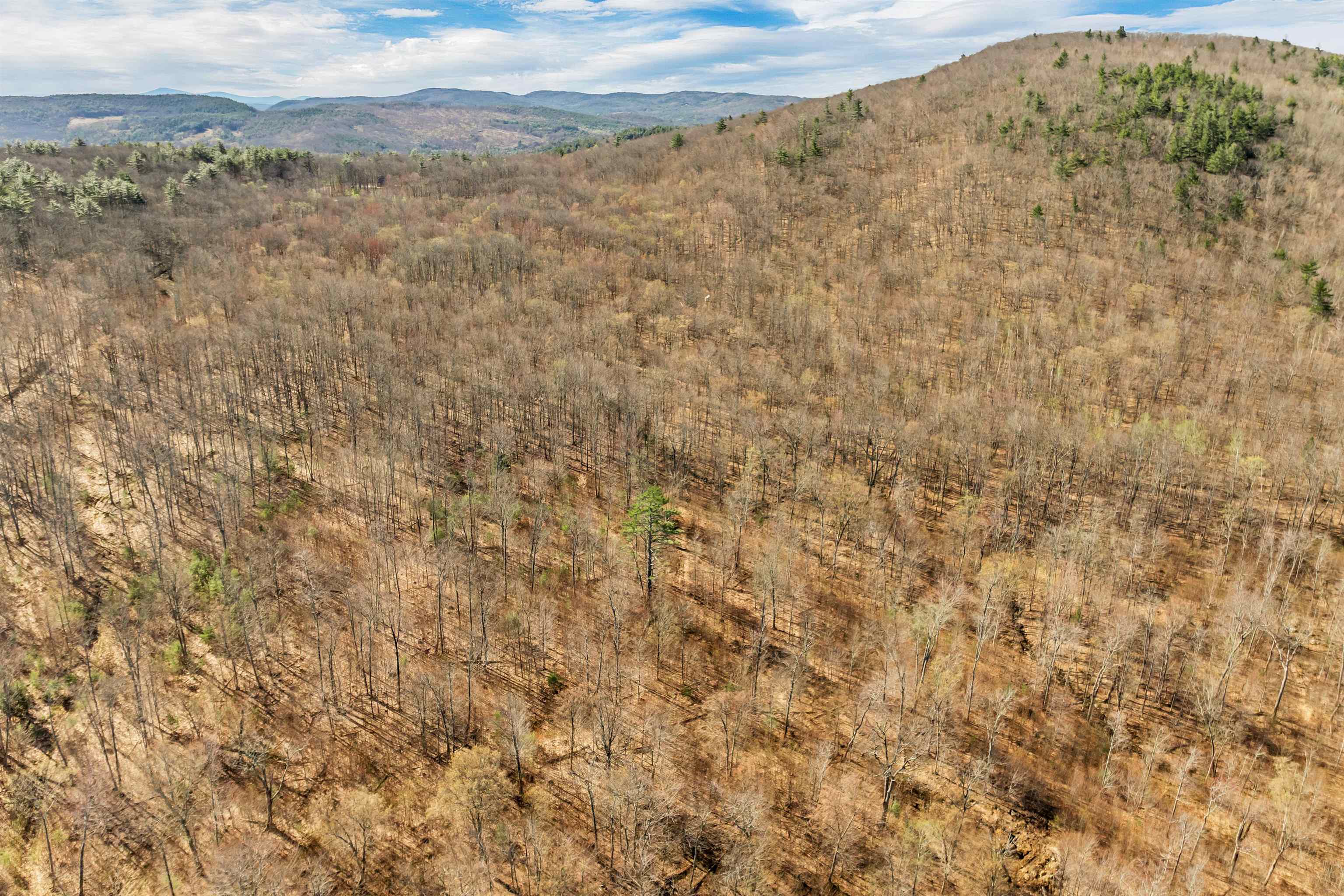 0 Hicks Hill Road Ashland, NH 03217 - Photo 1 of 9