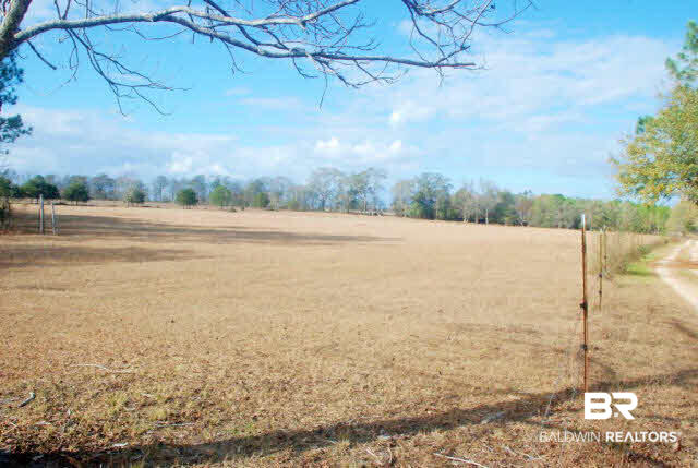 6905 Arthur Lee Rowell Road Jay, FL 32565 - Photo 2 of 5