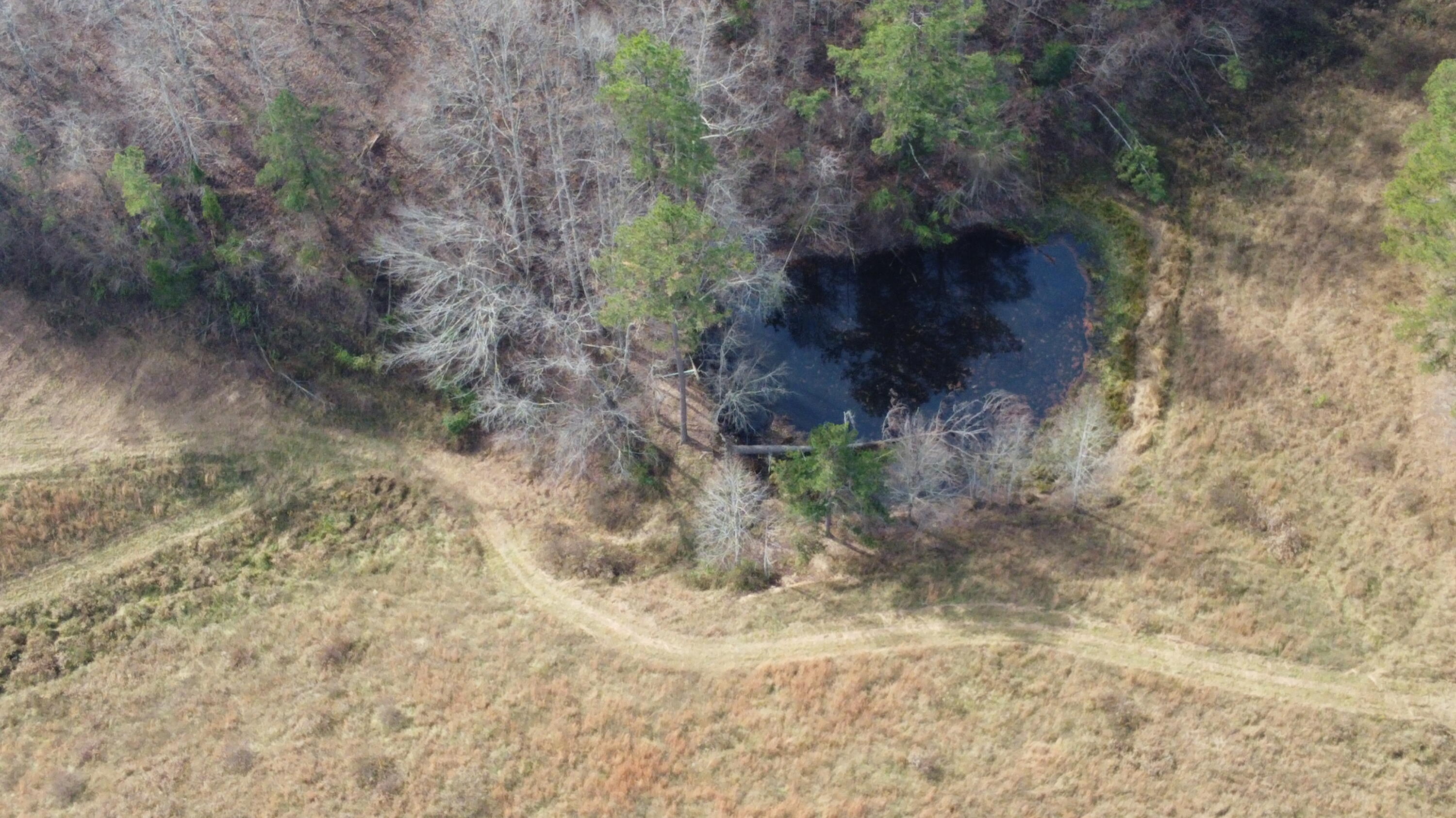 9999 Langdon Branch Road Annville, KY 40402 - Photo 6 of 13 DJI_0046