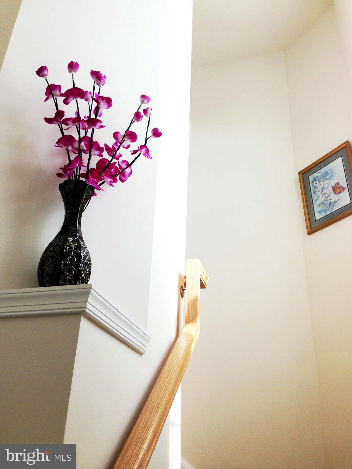 152 Short Branch Road Stafford, VA 22556 - Photo 9 of 23 Interior (General)