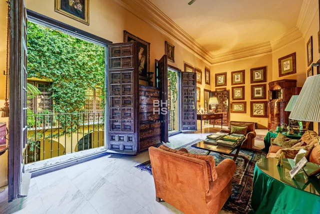an aerial view of a house with a yard and potted plants