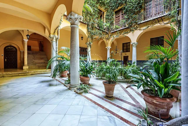 a view of a street with plants