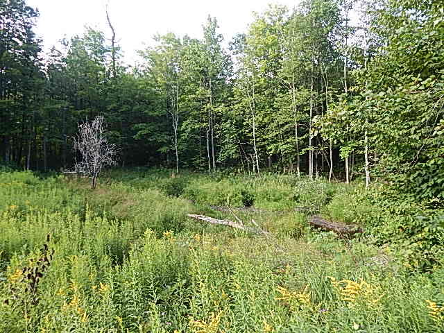 500 Grosse Pointe Road Barton City, MI 48705 - Photo 18 of 25 DSCN0531