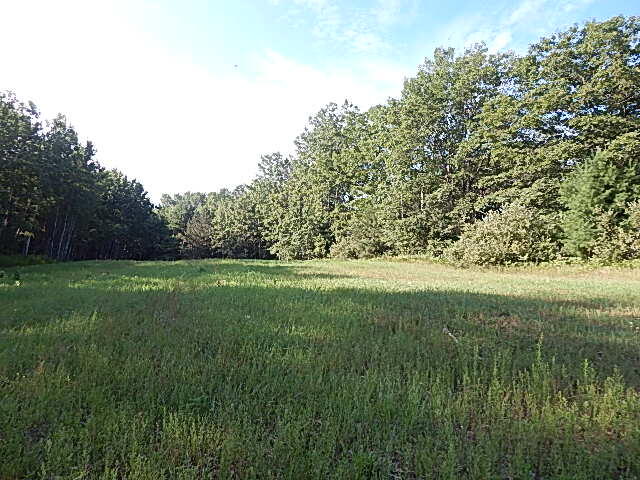 DSCN0517