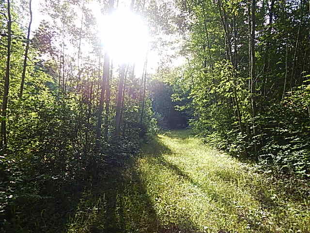 DSCN0519