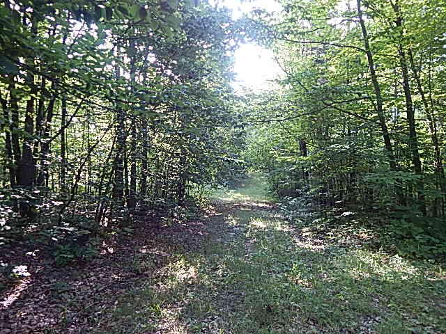 500 Grosse Pointe Road Barton City, MI 48705 - Photo 8 of 25 DSCN0521