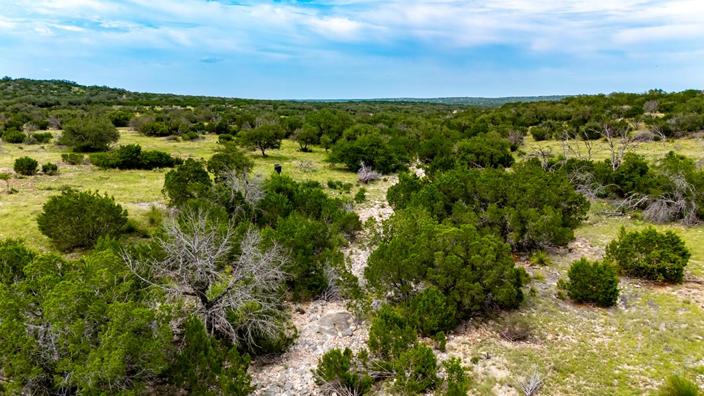 Lot 1 Northwest Nw Highway Rocksprings, TX 78880 - Photo 18 of 30