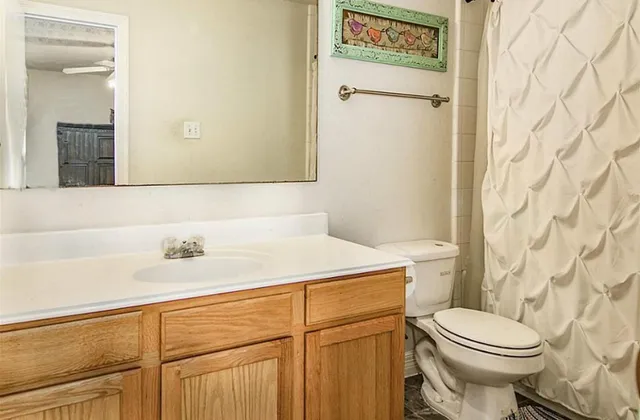 a bathroom with a sink and a toilet