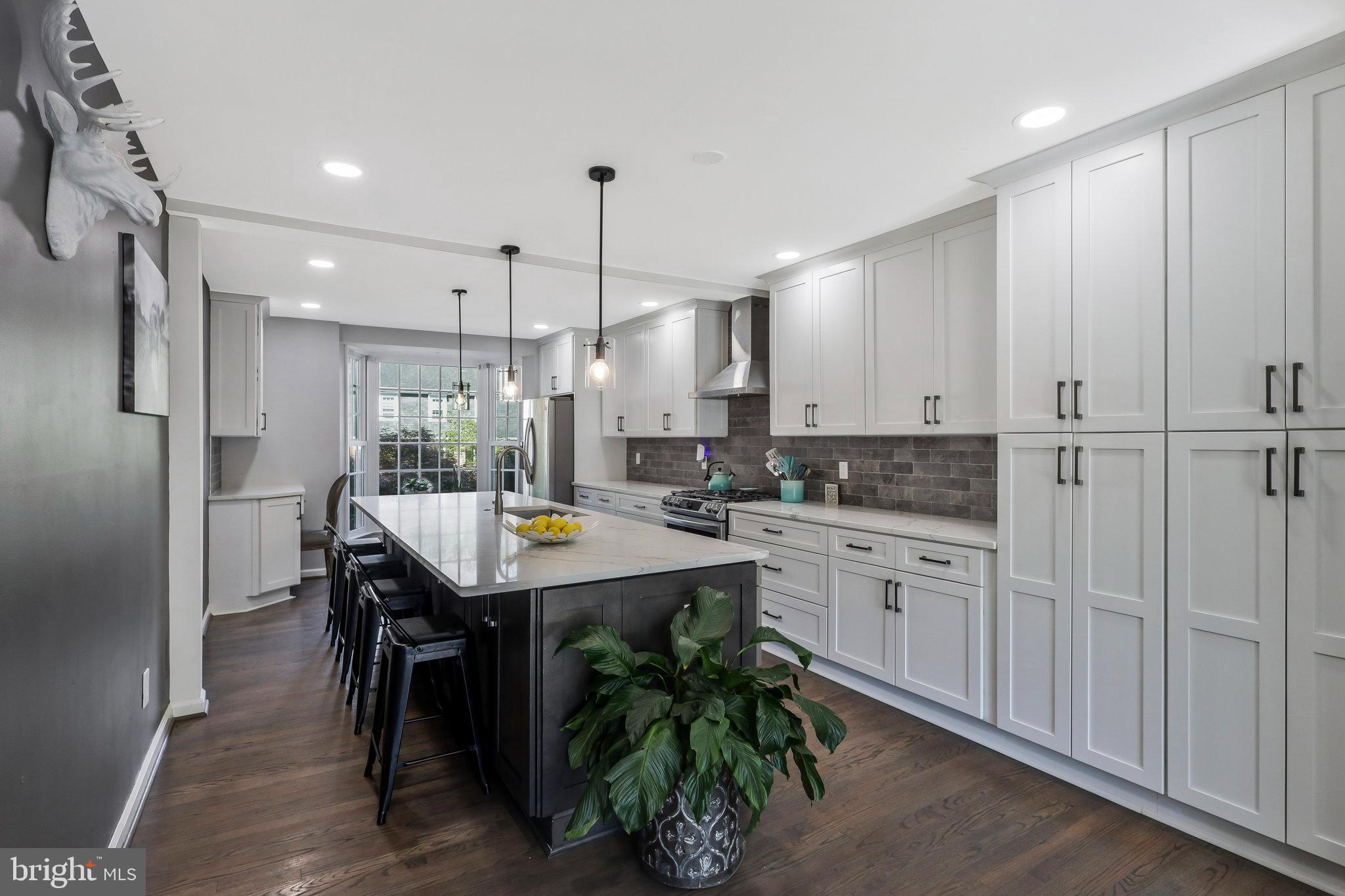 1119 Randolph Road McLean, VA 22101 - Photo 7 of 42 Fully renovated kitchen