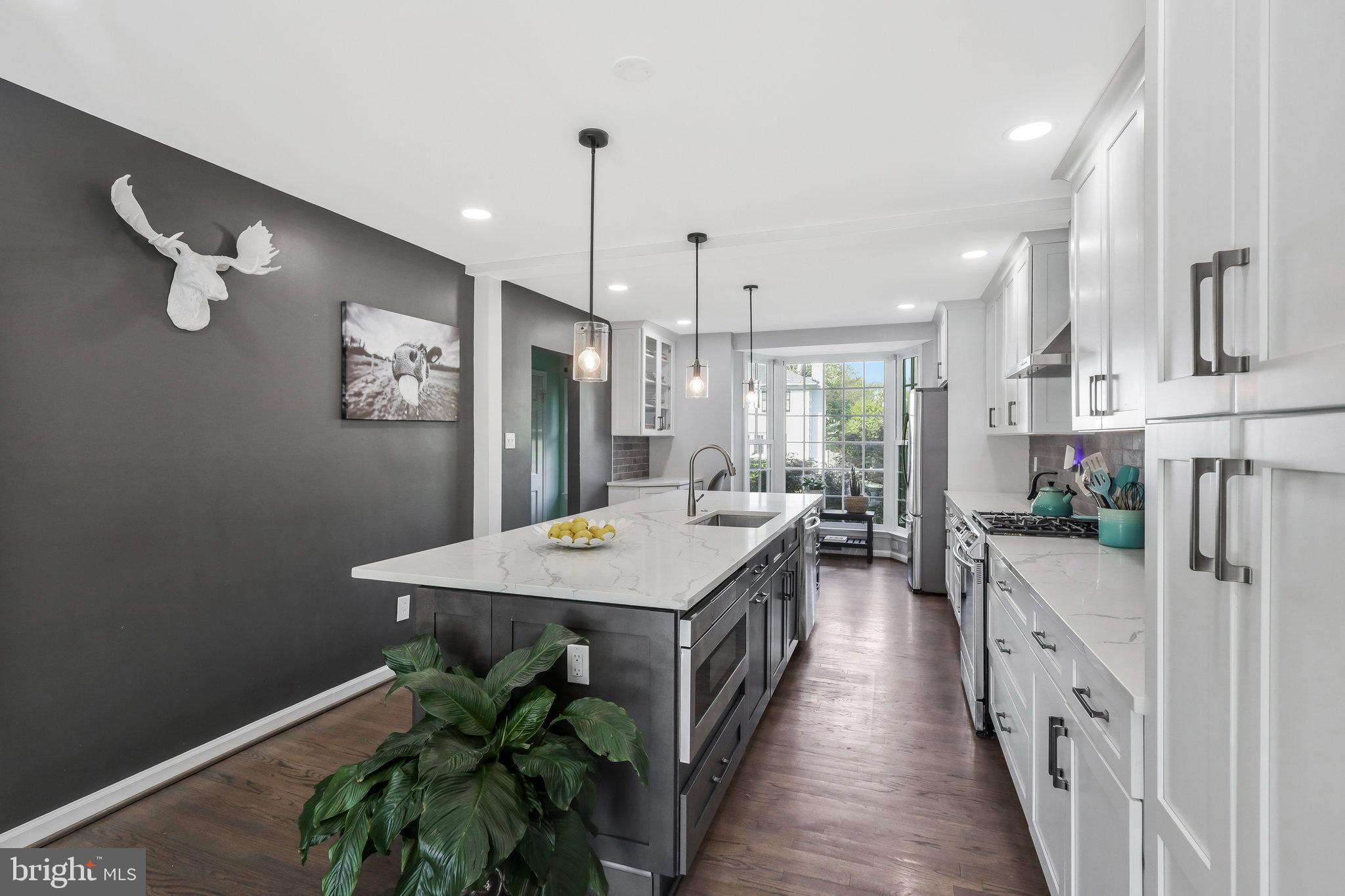 1119 Randolph Road McLean, VA 22101 - Photo 8 of 42 Eleven foot island