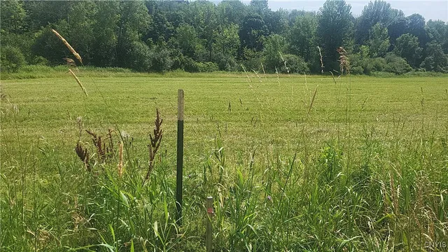 $35,000 | Lot 3 Co Route, Adams, NY 13605