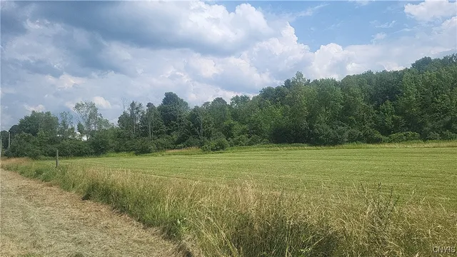 $35,000 | Lot 3 Co Route, Adams, NY 13605