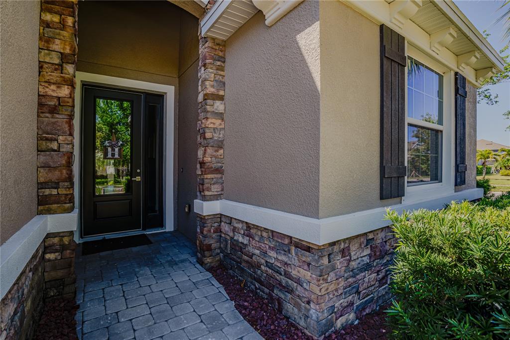 6312 Lantern View Place Apollo Beach, FL 33572 - Photo 4 of 38