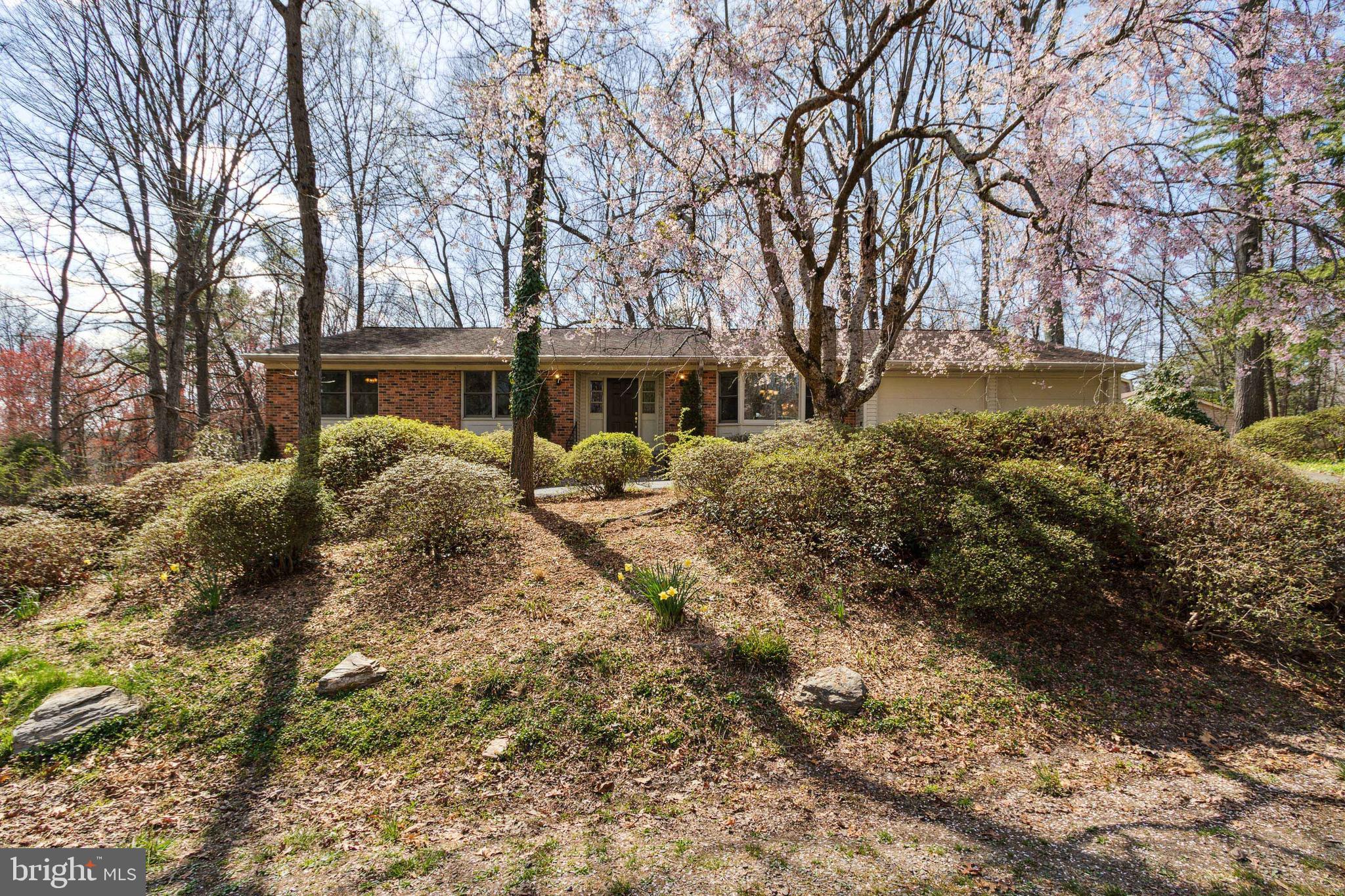 10801 Midsummer Drive Reston, VA 20191 - Photo 3 of 54 Front, Beautiful Flowers will boom soon