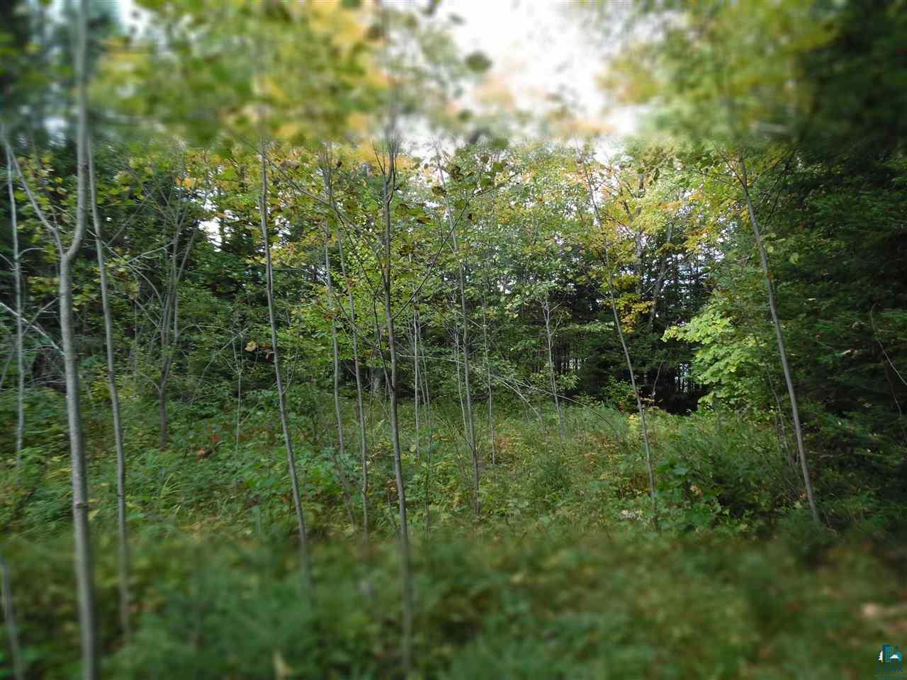 Part Of Lot 8 Part Of Lane Cable, WI 54821 - Photo 6 of 20 Gallery Image 6