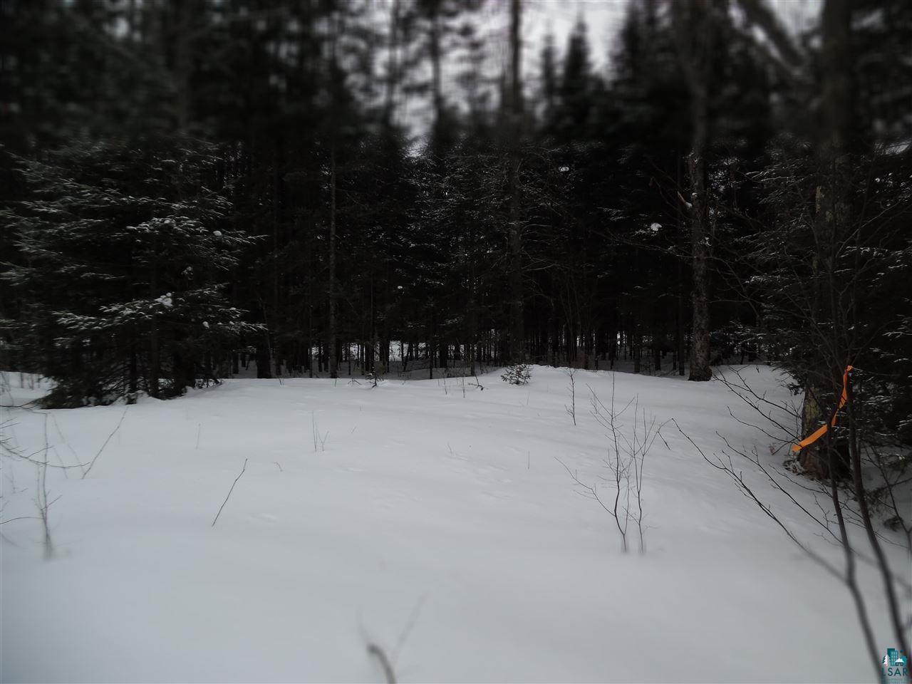 Part Of Lot 8 Part Of Lane Cable, WI 54821 - Photo 9 of 20 Gallery Image 9