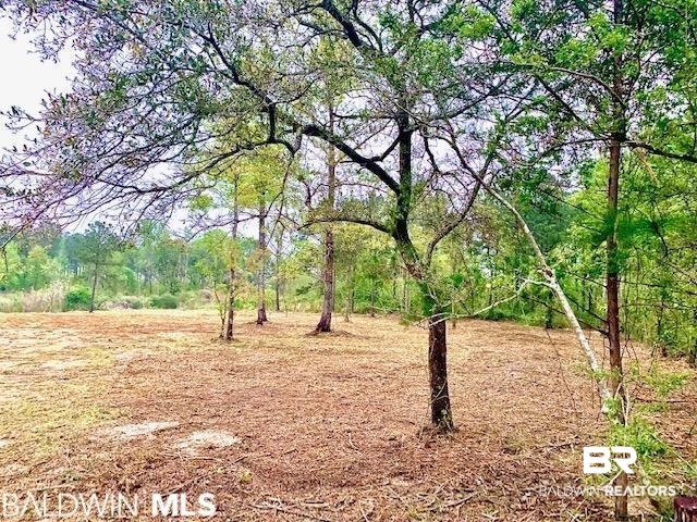 0 West 7th Street Bay Minette, AL 36507 - Photo 4 of 7