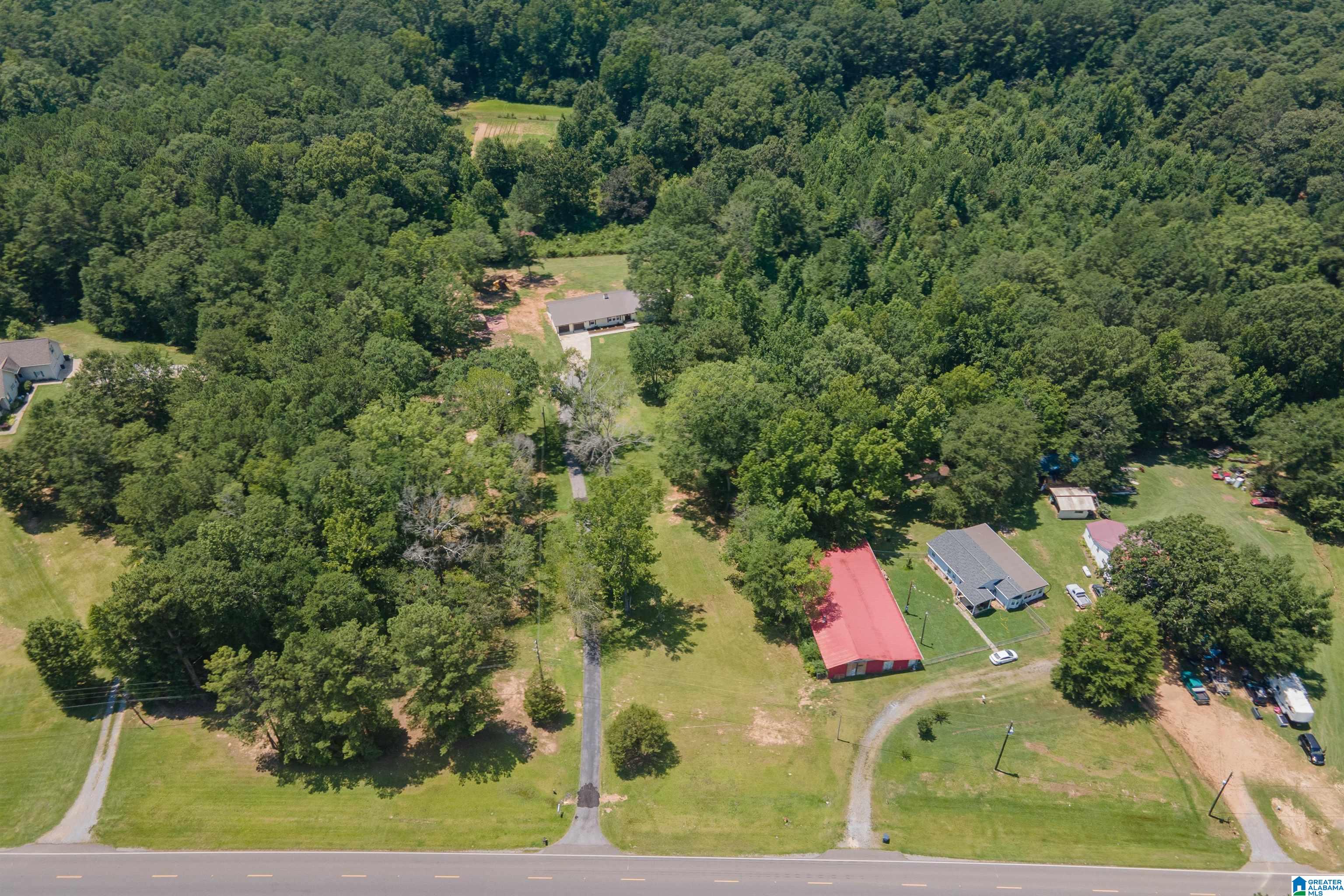 3419 Old Coal City Road Pell City, AL 35125 - Photo 42 of 47