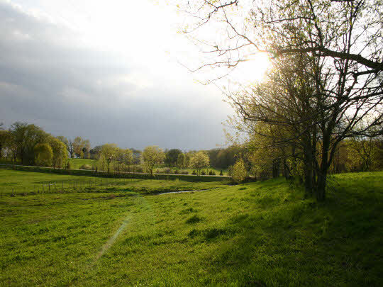 401 South Jackson Road Pecatonica, IL 61063 - Photo 6 of 11 a view of a field with an trees