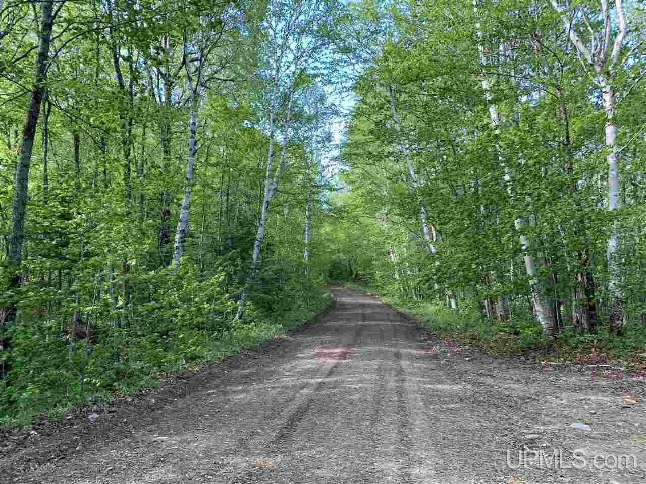 Tbd West Branch Huron River Road Skanee, MI 49946 - Photo 27 of 28