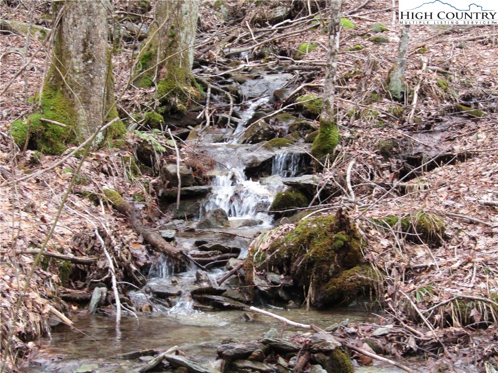 864 Joe Clayton Road Lansing, NC 28643 - Photo 28 of 50