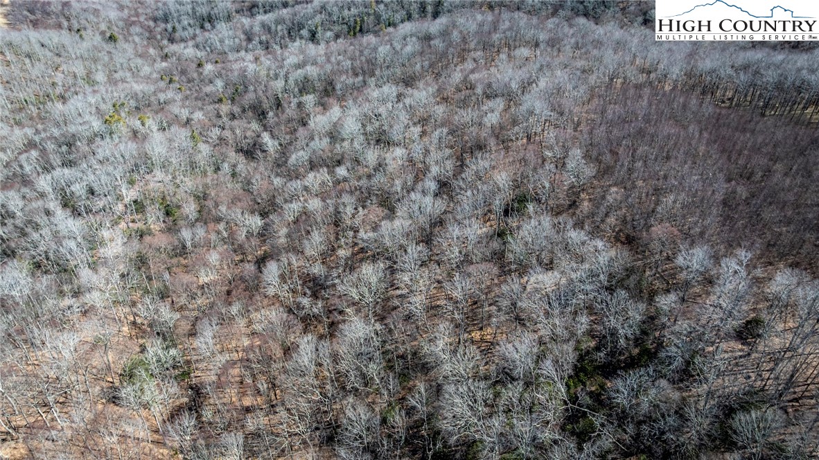 864 Joe Clayton Road Lansing, NC 28643 - Photo 50 of 50