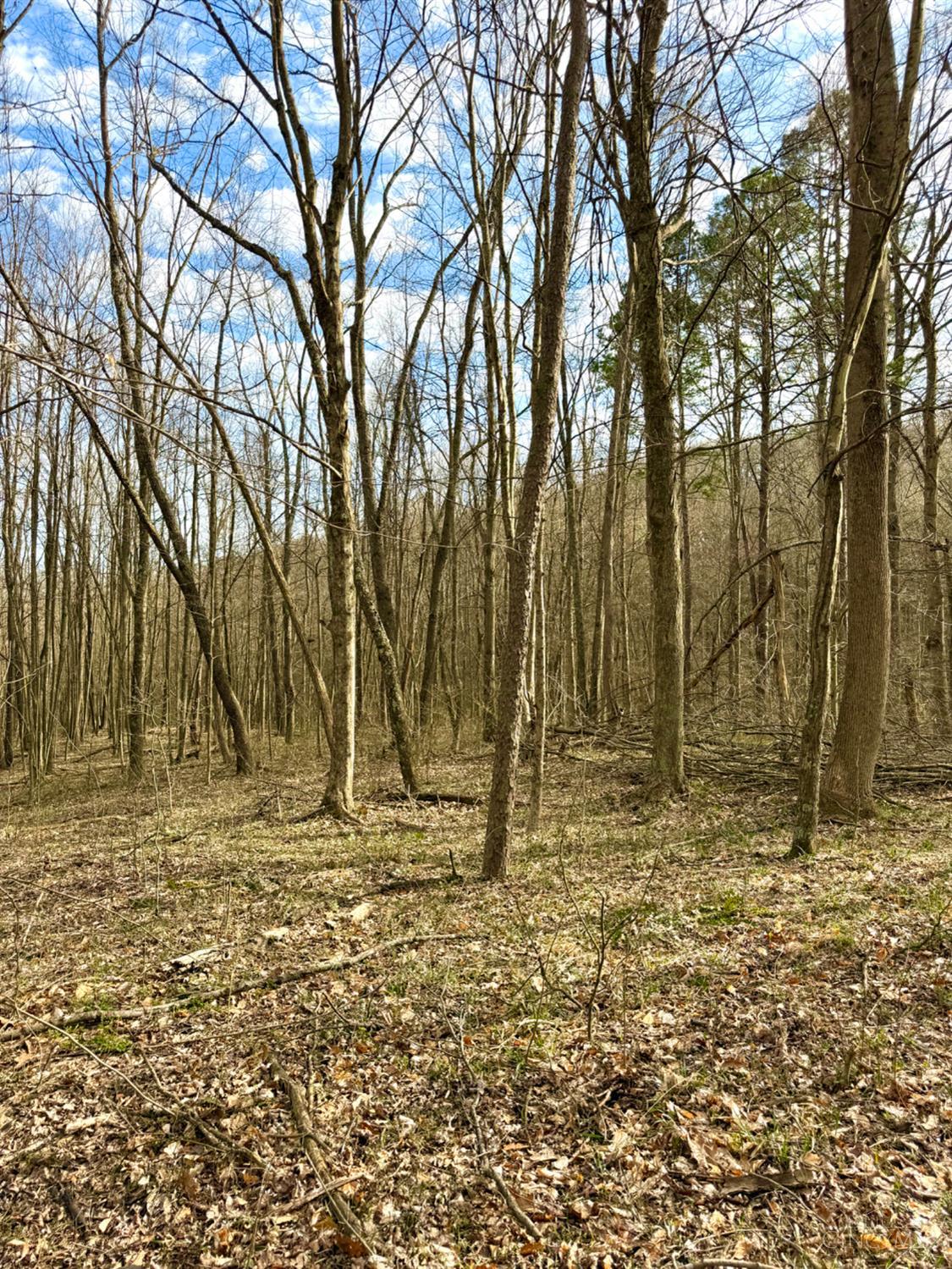 0 Fyffe Hollow Road Chillicothe, OH 45601 - Photo 83 of 96