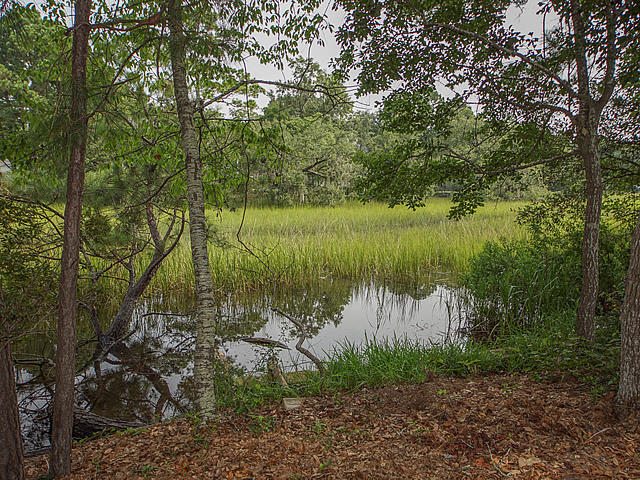 354 Stringer Alley Mount Pleasant, SC 29464 - Photo 2 of 42 Marshview/Tidal Creek