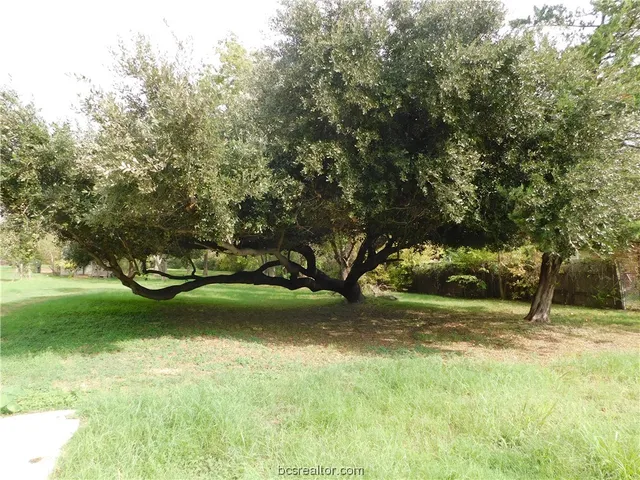 $125,000 | Tbd Palasota Drive, Bryan, TX 77803