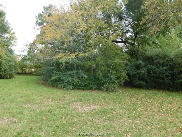 $125,000 | Tbd Palasota Drive, Bryan, TX 77803