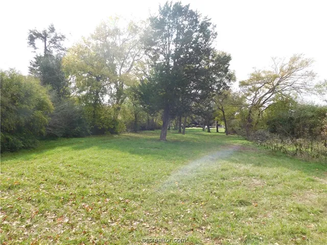 $125,000 | Tbd Palasota Drive, Bryan, TX 77803