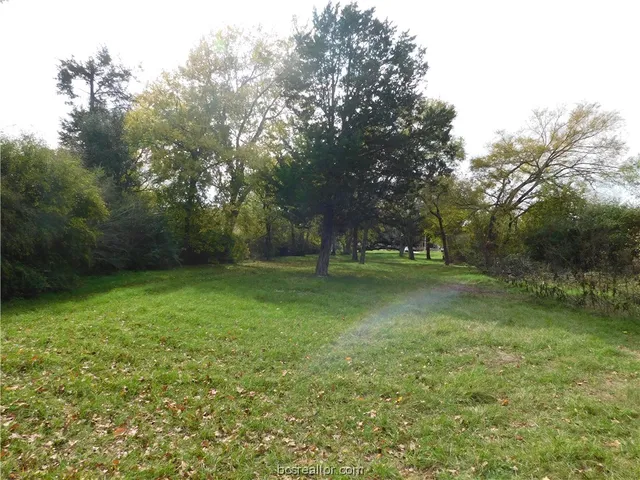 $125,000 | Tbd Palasota Drive, Bryan, TX 77803
